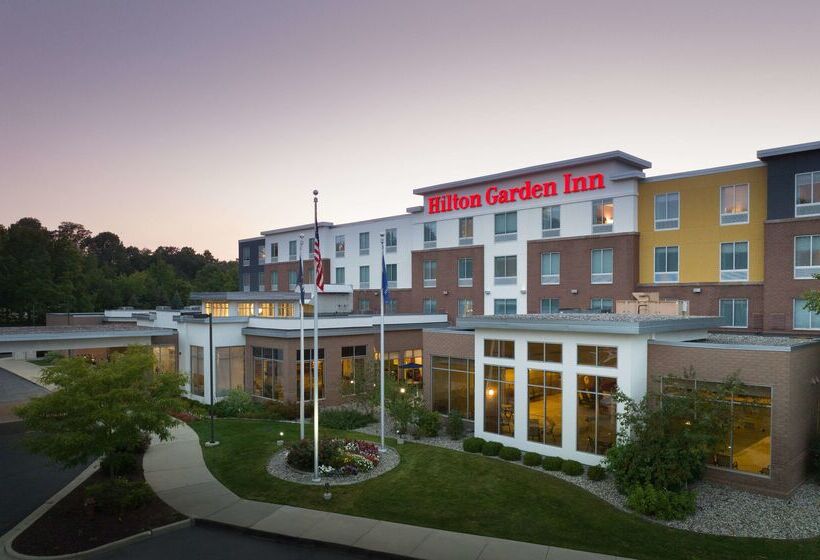 هتل Hilton Garden Inn Ann Arbor