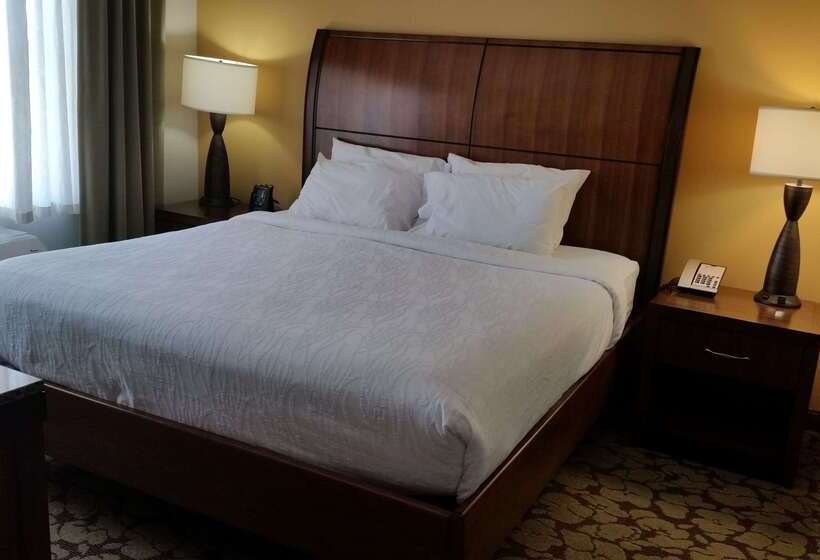 فندق Hilton Garden Inn Olathe