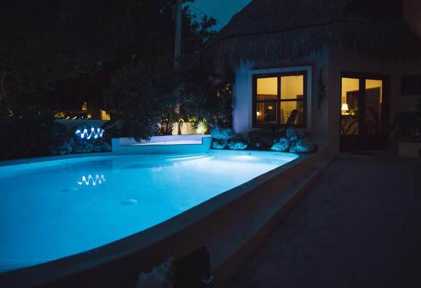 هتل Casa Iguana Holbox   Beachfront