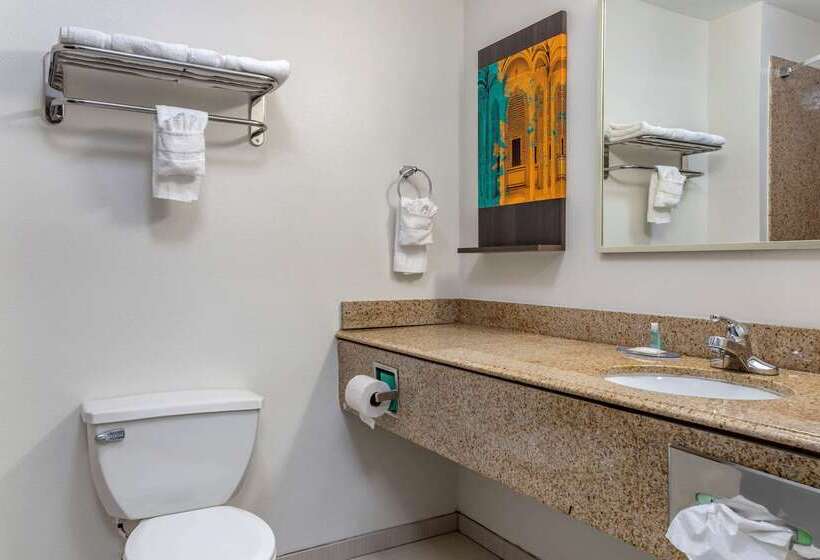 בית מלון כפרי Mainstay Suites Port Arthur  Beaumont South