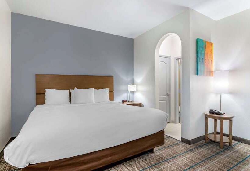 בית מלון כפרי Mainstay Suites Port Arthur  Beaumont South