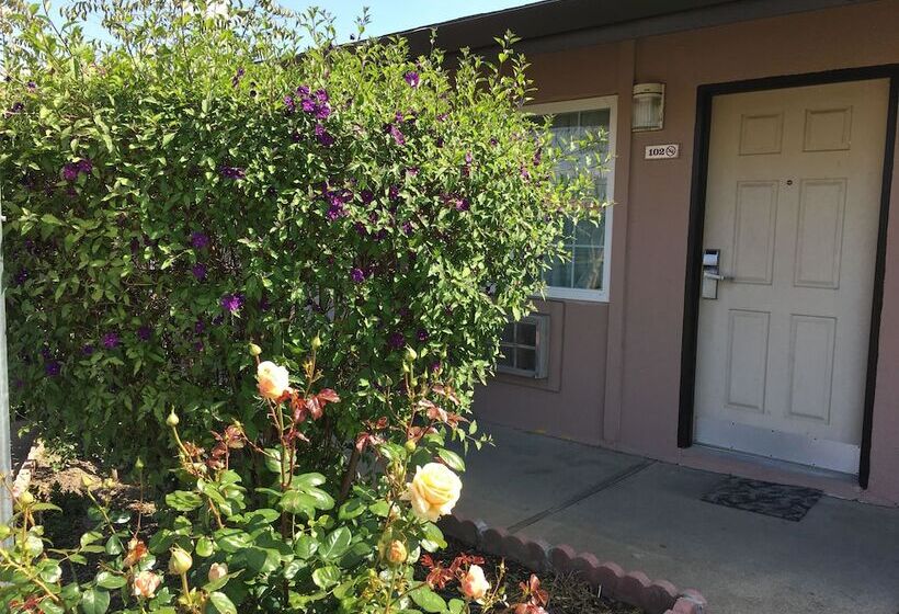 Отель Maple Inn And Suites Los Banos