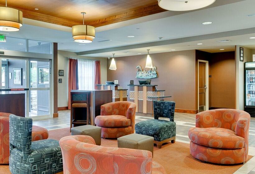Homewood Suites By Hilton Fort Worth   Medical Center, Tx