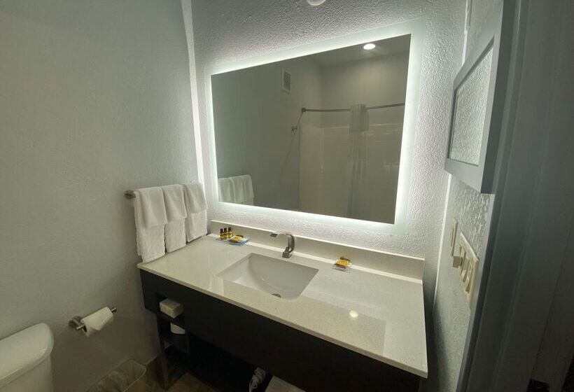 هتل Best Western Plus Appleton Airport Mall