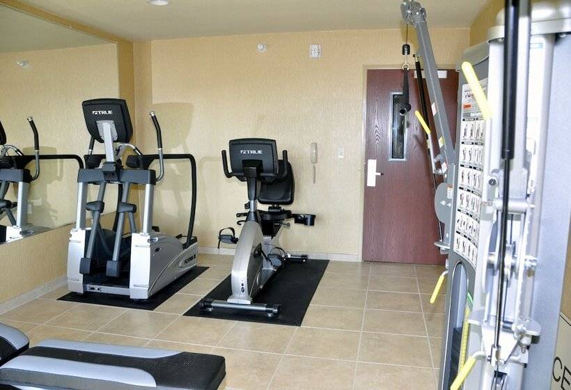 Отель Cobblestone Inn & Suites   Holyoke