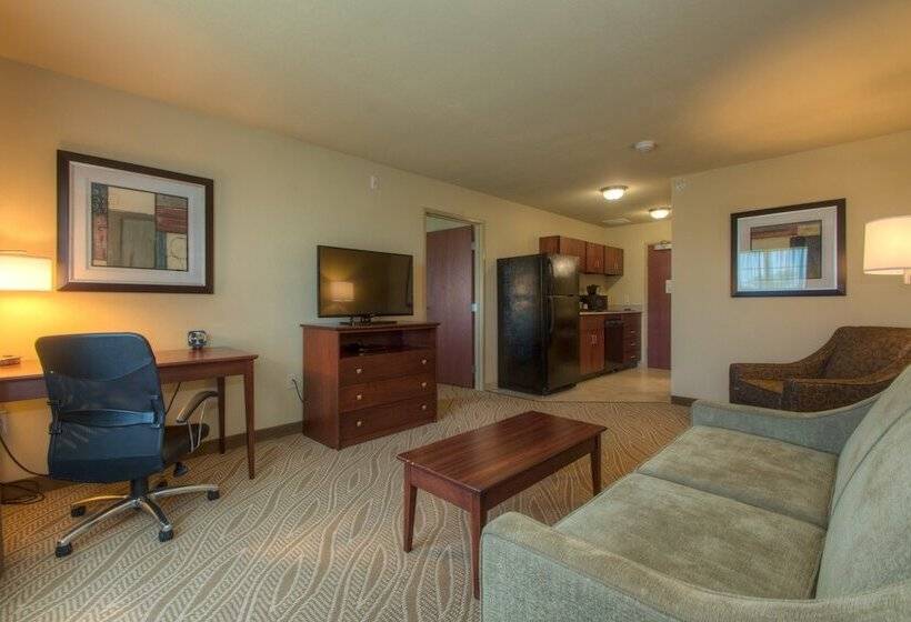 Отель Cobblestone Inn & Suites   Holyoke