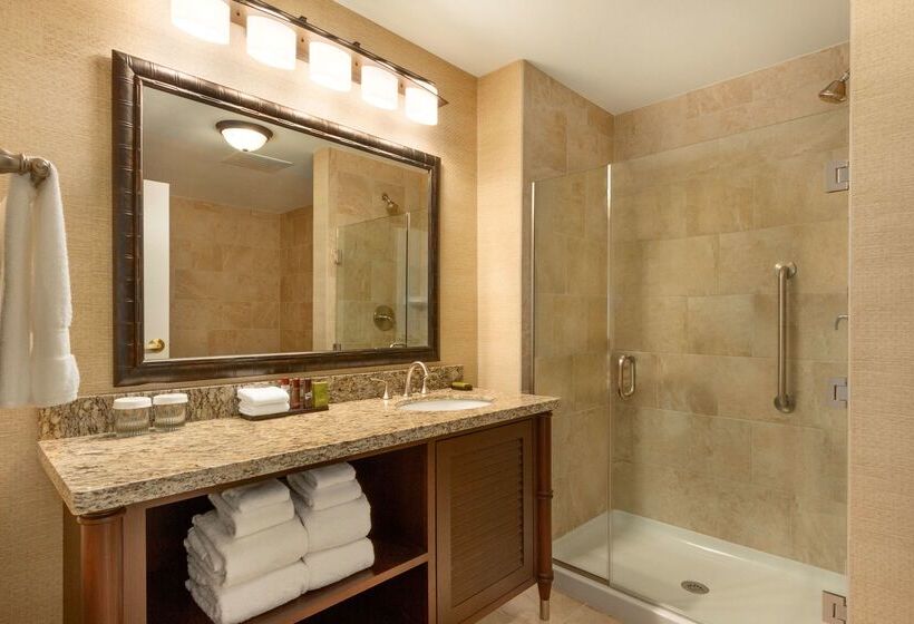 هتل Embassy Suites By Hilton Savannah Historic District