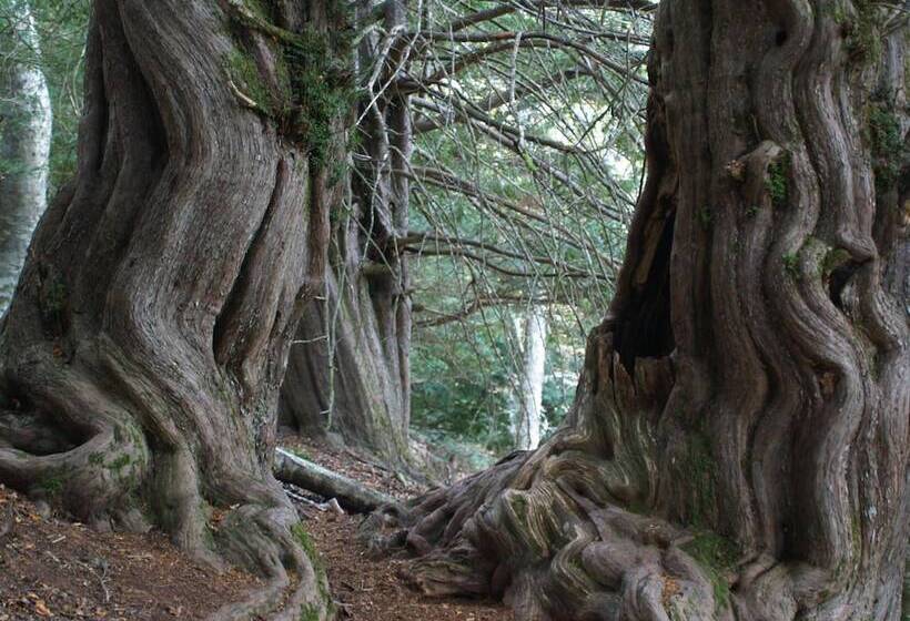فندق Rural Piedra Abierta