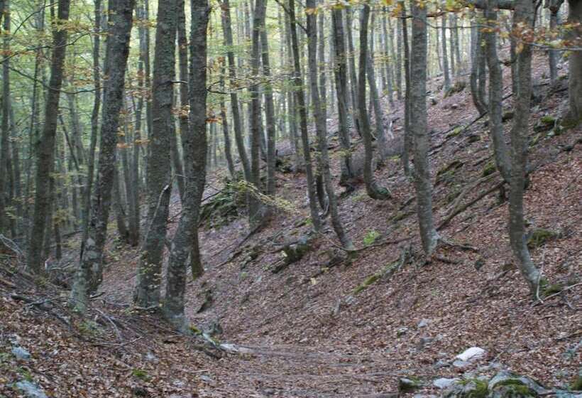 فندق Rural Piedra Abierta