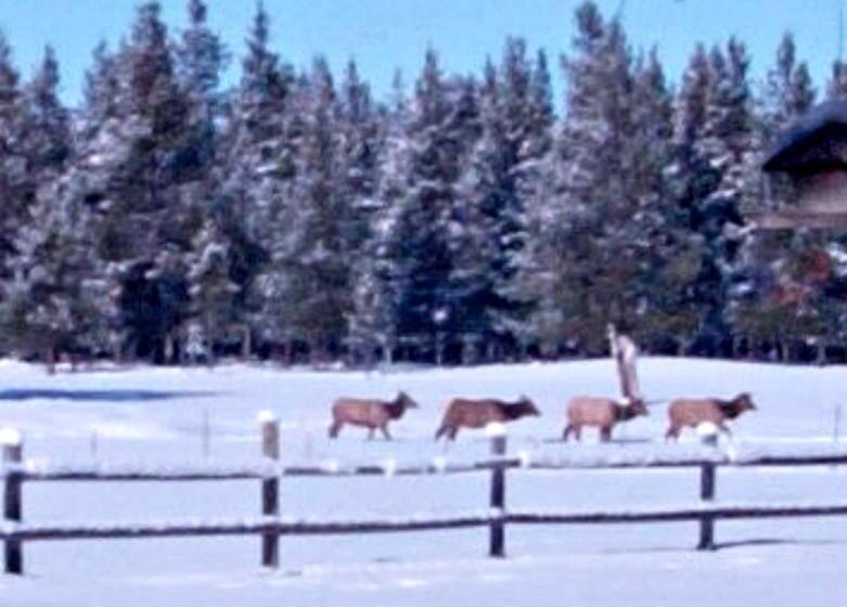 호텔 Diamondstone Guest Lodges