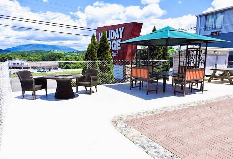 فندق على الطريق Holiday Lodge Virginia