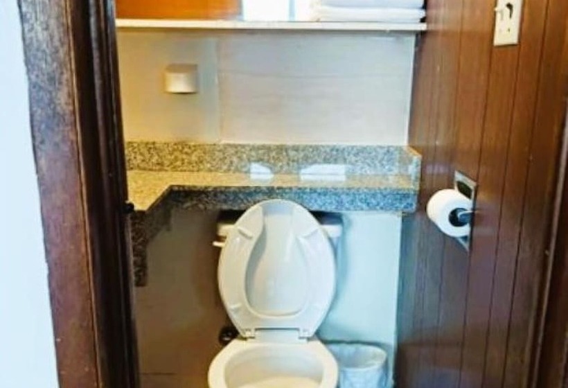 فندق على الطريق Holiday Lodge Virginia