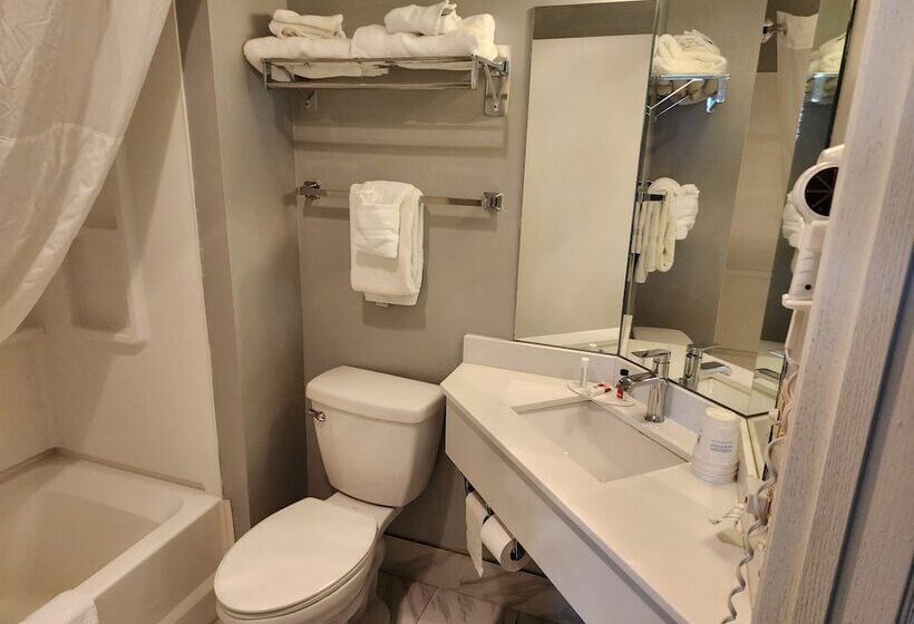 모텔 Windsor Place Inn