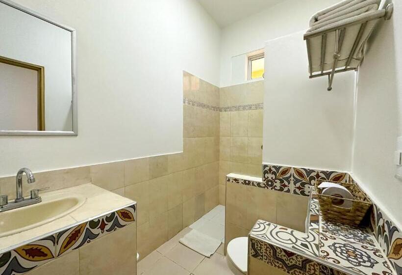 هتل Zamay Centro Historico