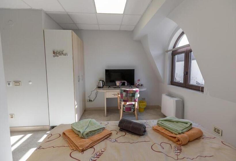 پانسیون Smart