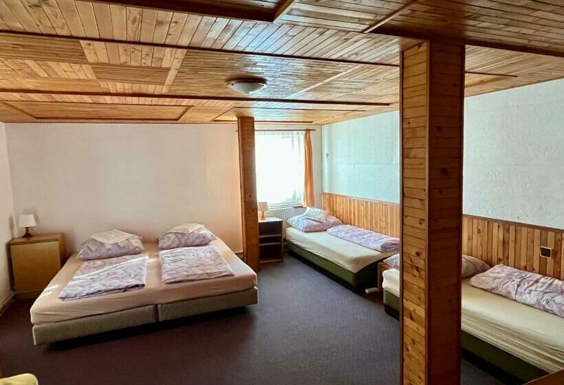 پانسیون Ubytování 113