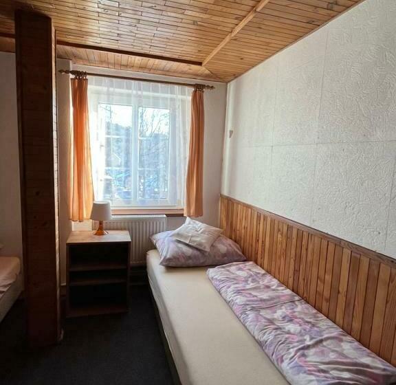 پانسیون Ubytování 113