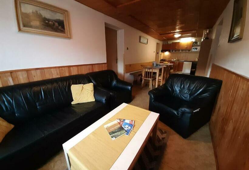 پانسیون Ubytování 113