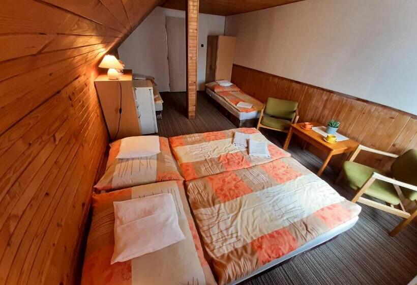 پانسیون Ubytování 113