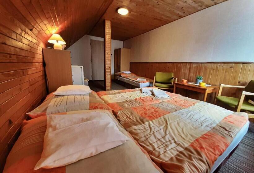 پانسیون Ubytování 113