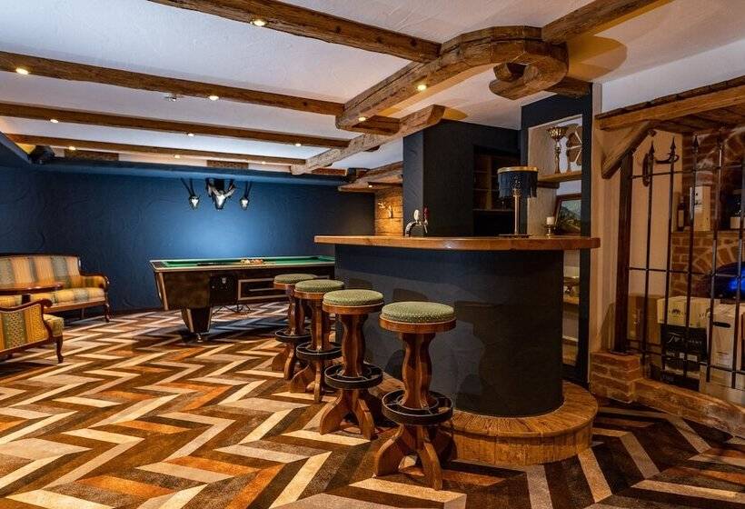 Erzherzog Johann Alpin Style Hotel   Adults Only