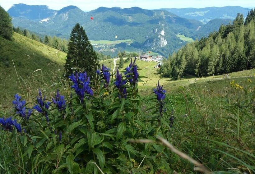Отель Garni Schernthaner