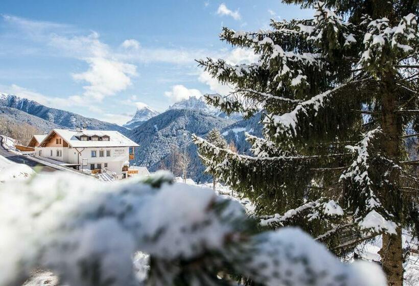 住宿加早餐  Mountain Residence Alpenhof   Company Hotel Alpenhof Kg Sas Der Gasser Renate