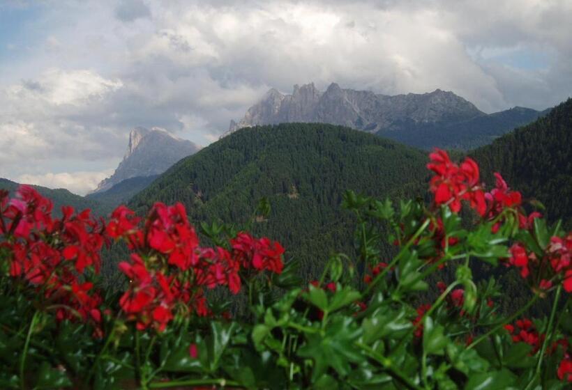 住宿加早餐  Mountain Residence Alpenhof   Company Hotel Alpenhof Kg Sas Der Gasser Renate