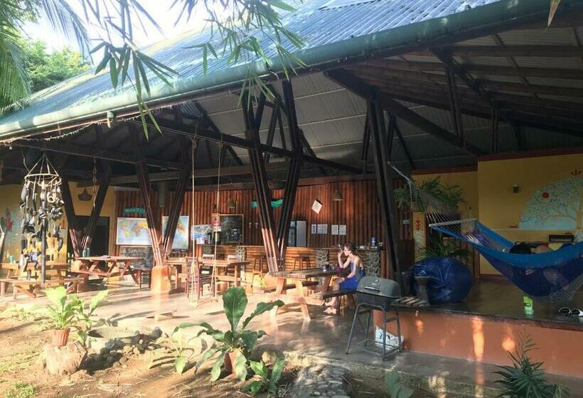 פנסיון Luminosa Uvita Hostel