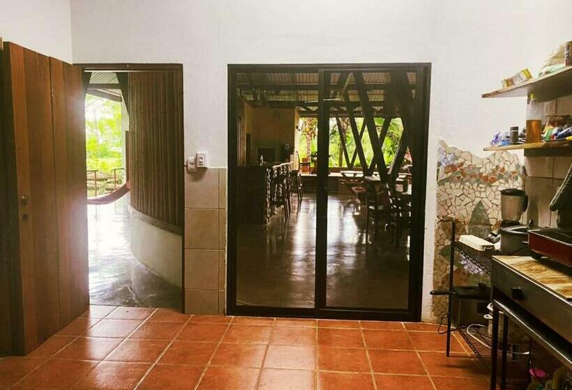 פנסיון Luminosa Uvita Hostel