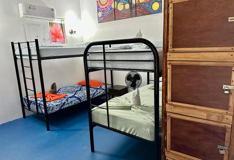 פנסיון Luminosa Uvita Hostel