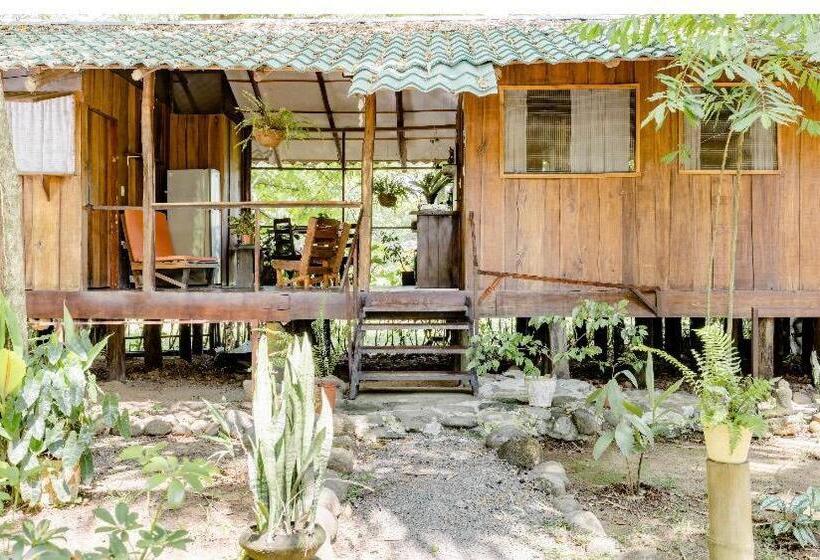 פנסיון Luminosa Uvita Hostel