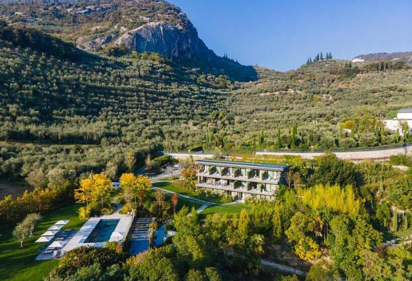 هتل Arcolive Agrisuite