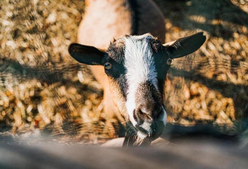 La Tenuta Di Santo Stefano Agri Resort & Spa