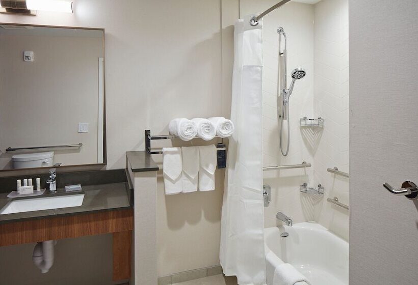 酒店 Fairfield Inn & Suites Seneca Clemson Univ Area