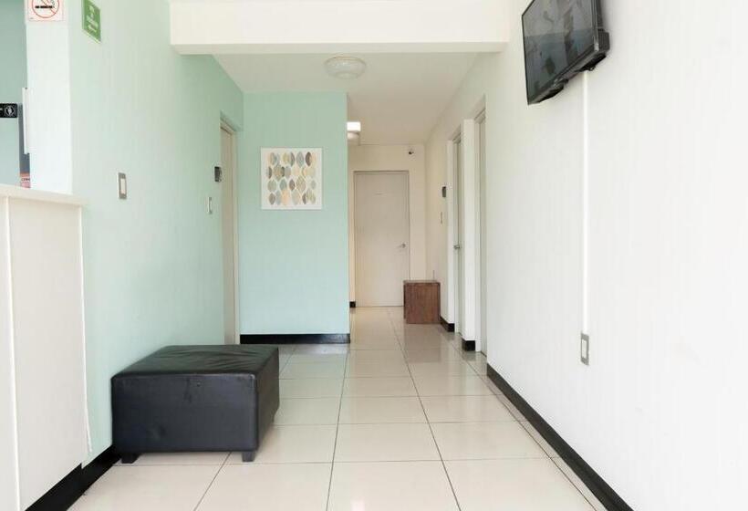 Esencia Hostel Terminal Oaxaca