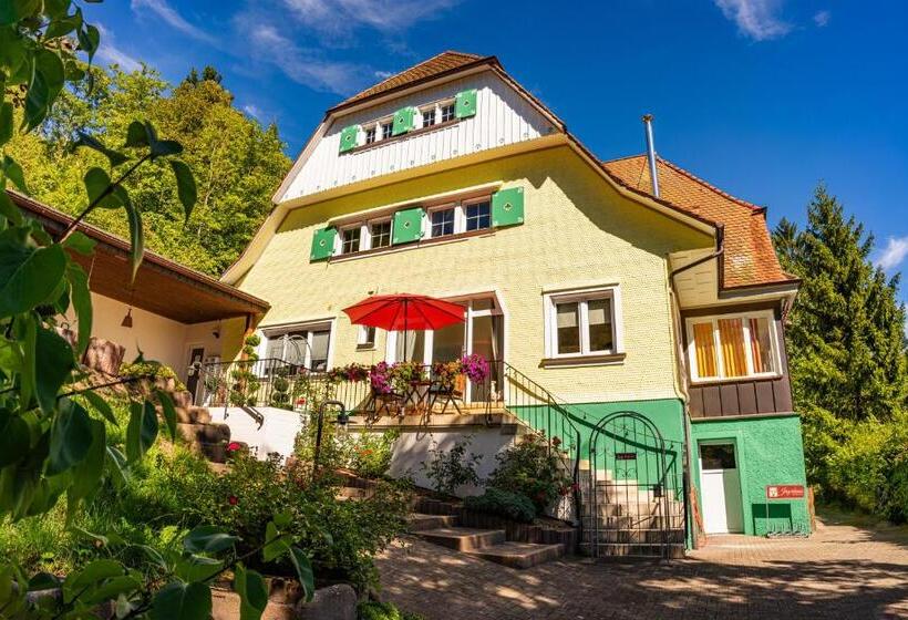 بنسيون Jägerhaus Donaueschingen