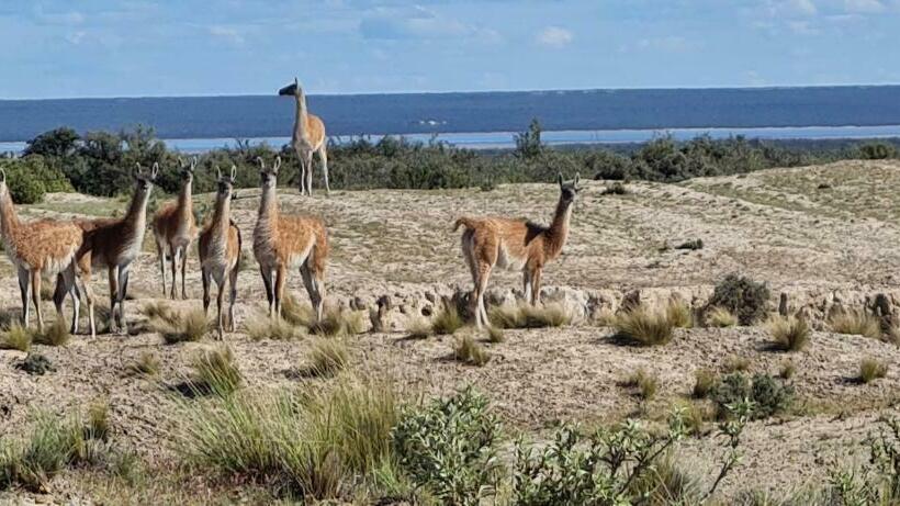 هاستل La Elvira Natural Lodge