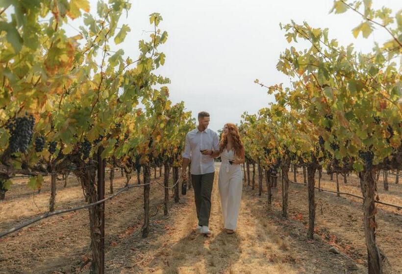 Bed and Breakfast Bann At Oak Knoll Napa