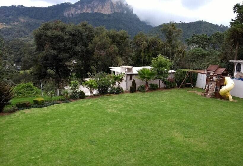 فندق Suites Don Miguel