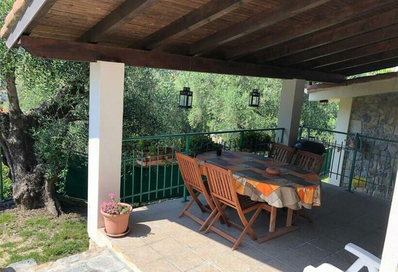 تختخواب و صبحانه Casa Vacanze Uliveto