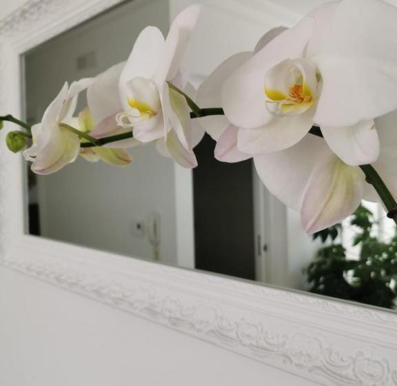 B&b Le Torri