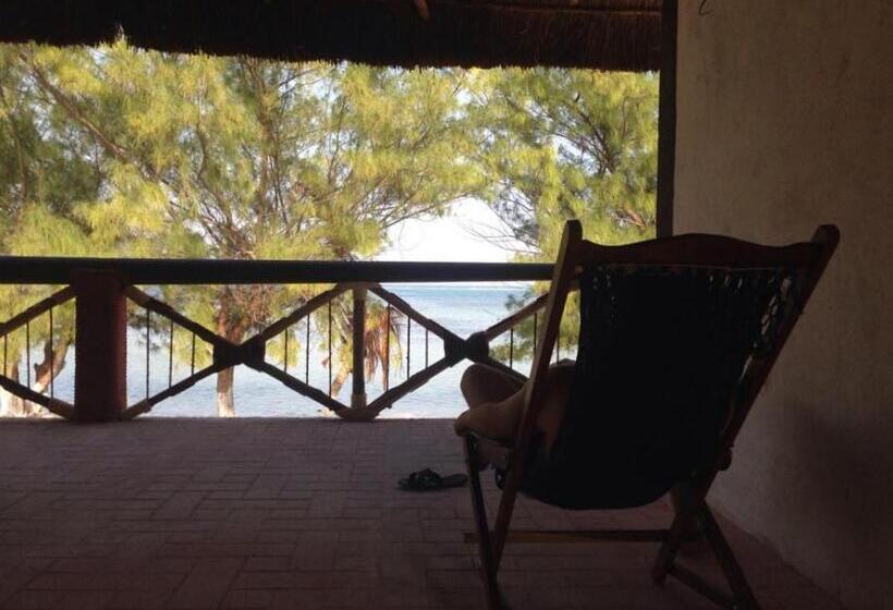 住宿加早餐  Xcalak Caribe Lodge