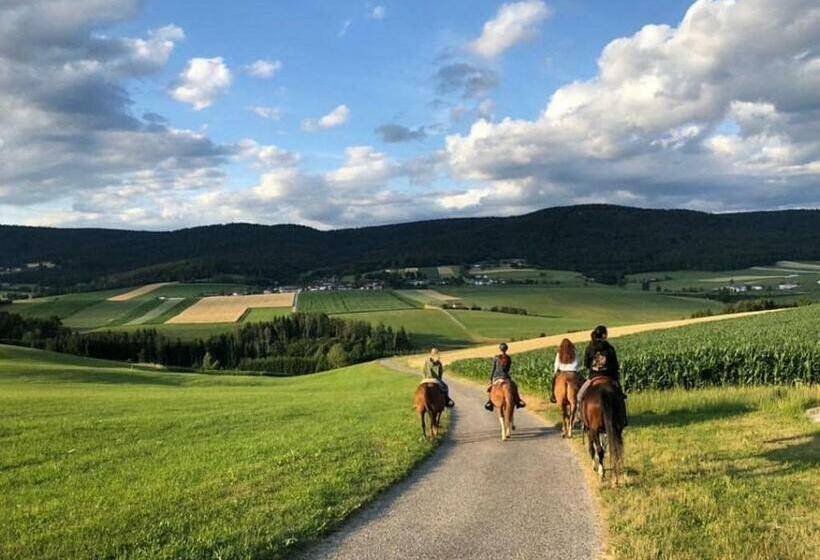 بنسيون Appartmenthaus Kern