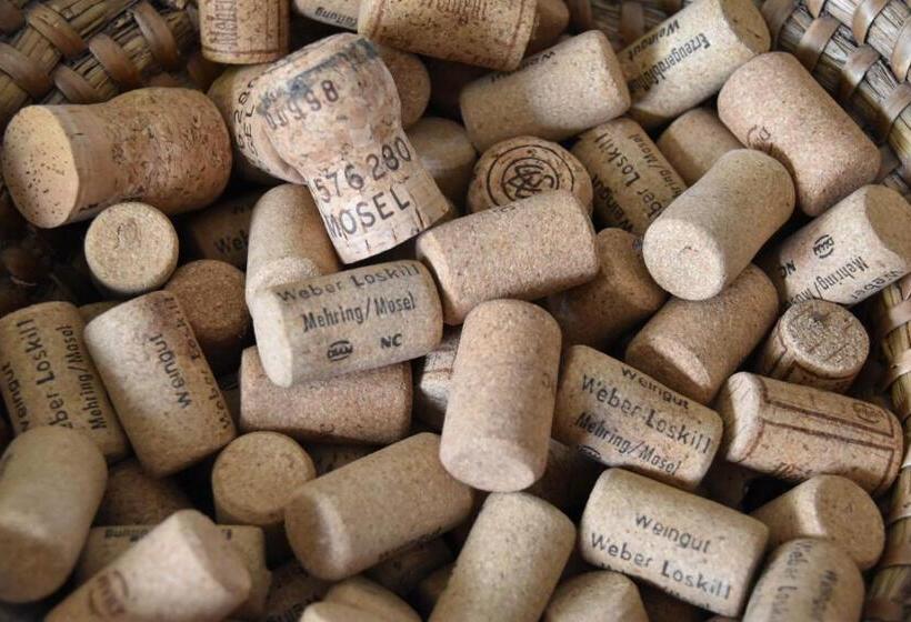 ユースホステル Gästehaus Weber Loskill