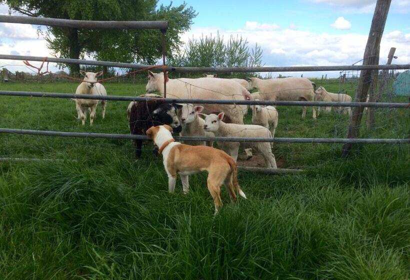 تختخواب و صبحانه Boerengastenverblijf De Kromme Rijn