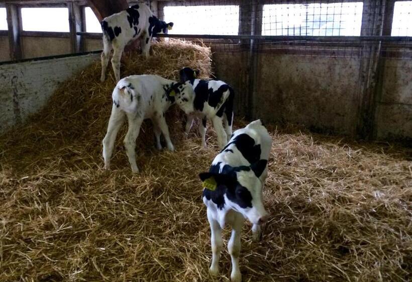 تختخواب و صبحانه Boerengastenverblijf De Kromme Rijn