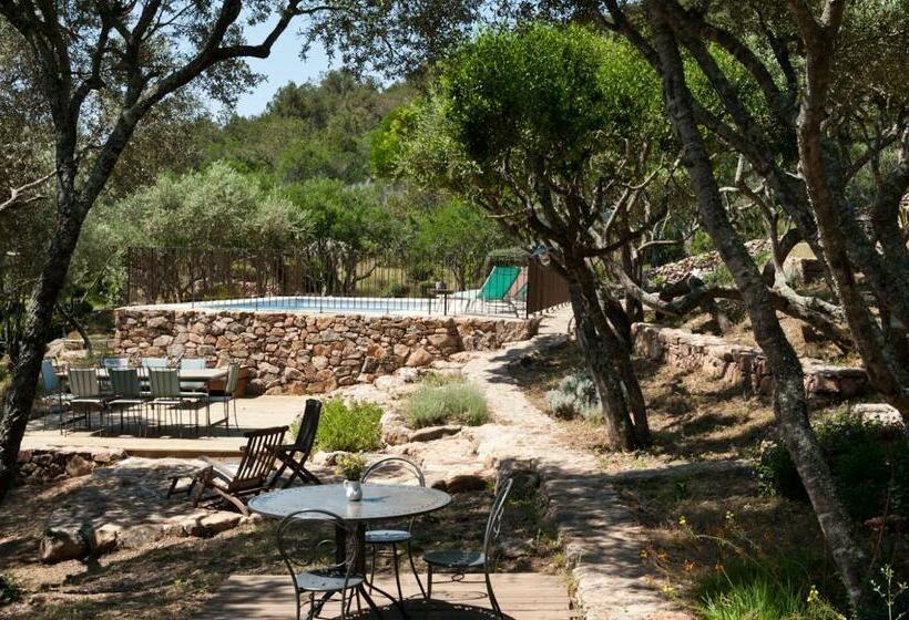Bed and Breakfast Maison Tavolara