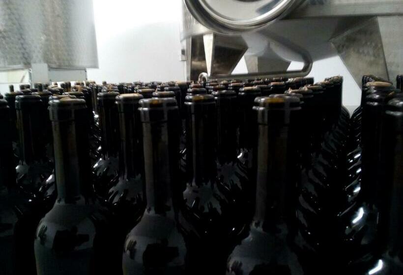 فندق Agriturismo Maso Pertener  Adults Only