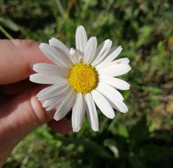 فندق Agriturismo Maso Pertener  Adults Only